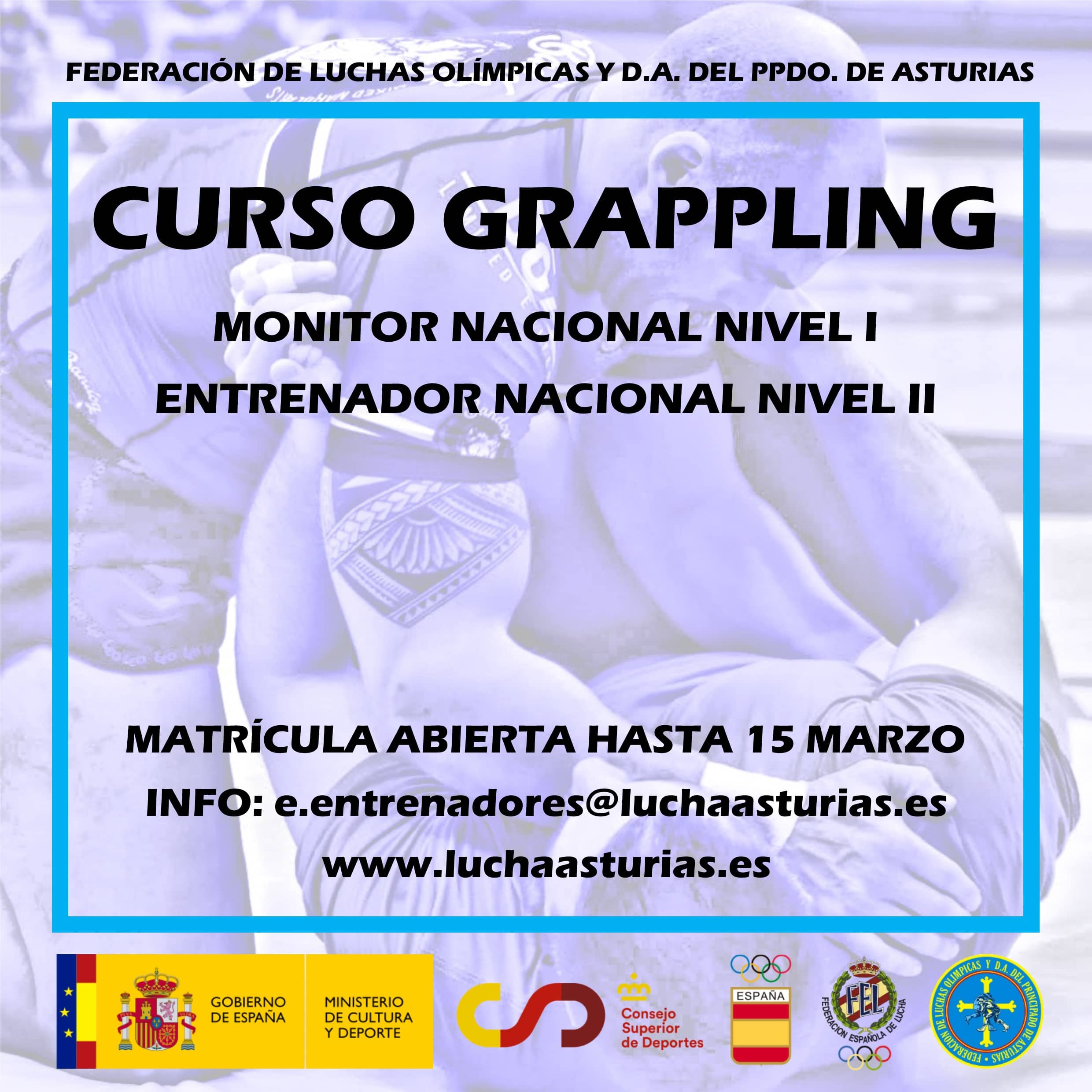 Curso Grappling 2023