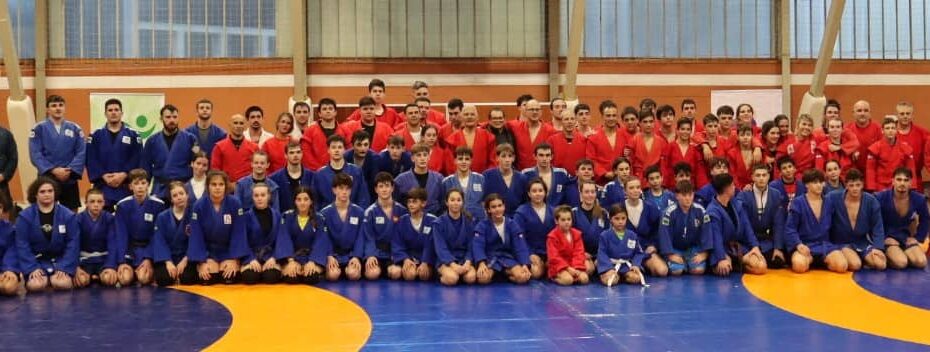 Federación de luchas olímpicas y DD.AA. del Pdo. de Asturias