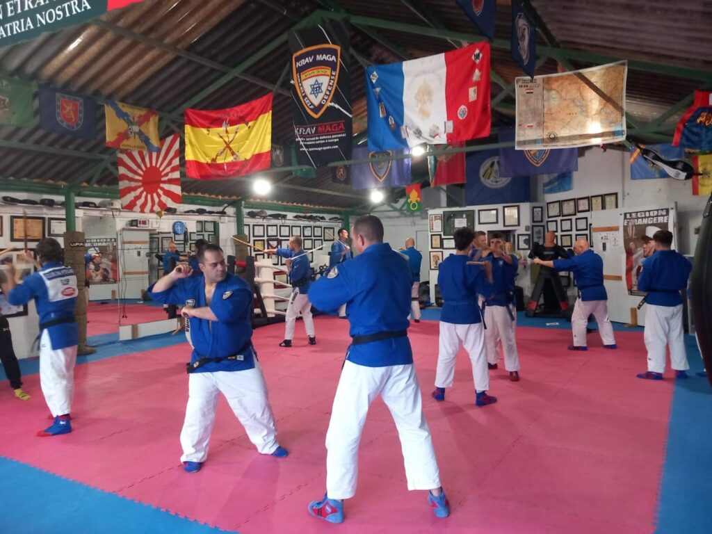 Federación de luchas olímpicas y DD.AA. del Pdo. de Asturias