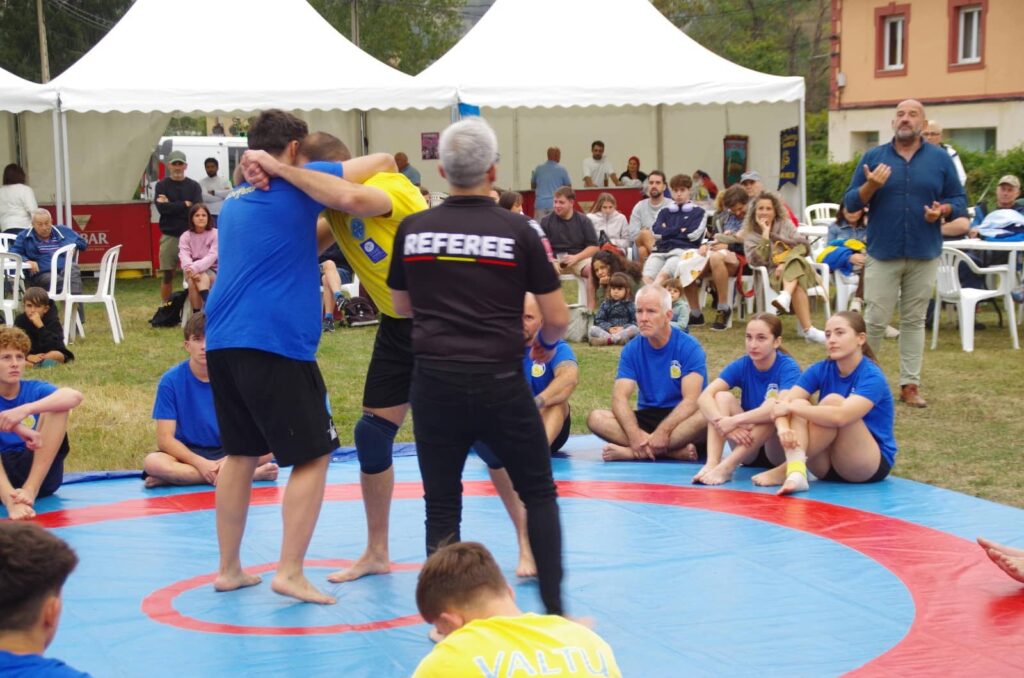 Federación de luchas olímpicas y DD.AA. del Pdo. de Asturias