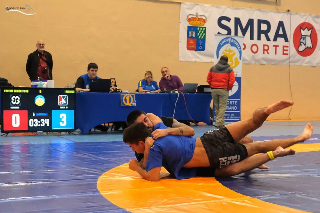 Federación de luchas olímpicas y DD.AA. del Pdo. de Asturias