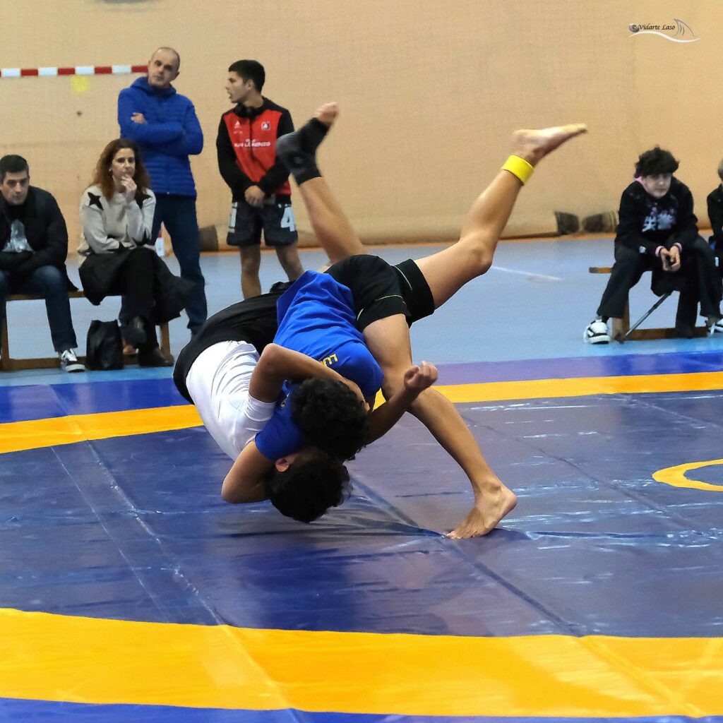 Federación de luchas olímpicas y DD.AA. del Pdo. de Asturias